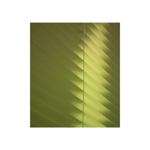 Green Shutters